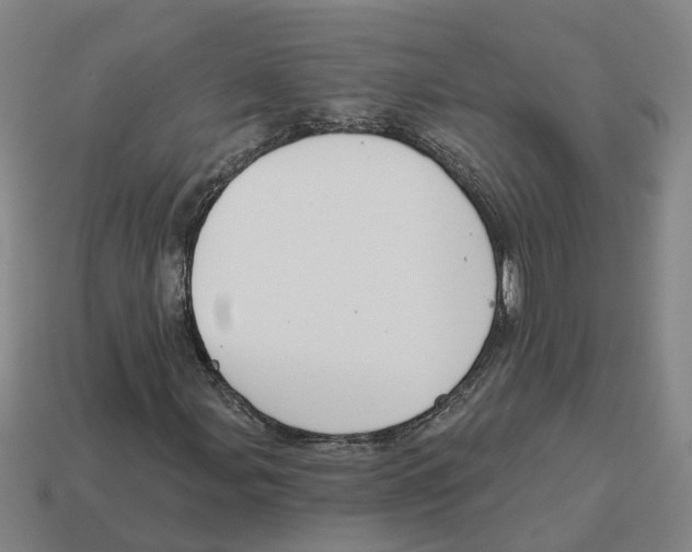 X0000114441107200911061658