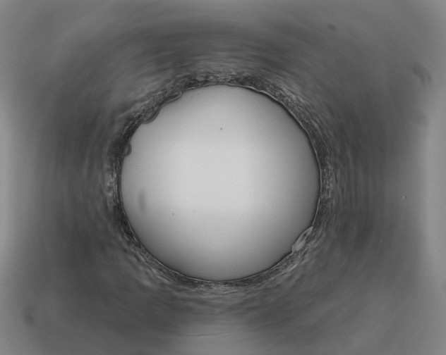 X0000114441109200911061658