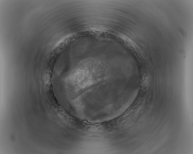 X0000114441110200911061658