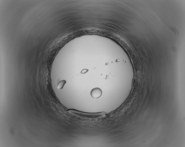 X0000114441111200911061658