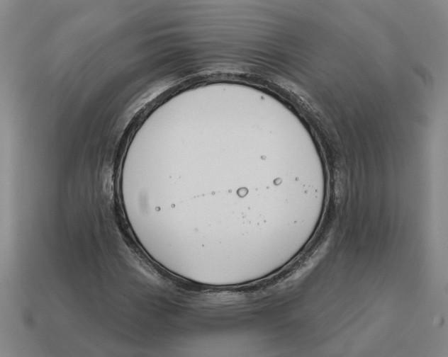 X0000114441113200911061658