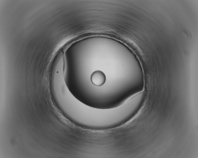 X0000114441114200911061658