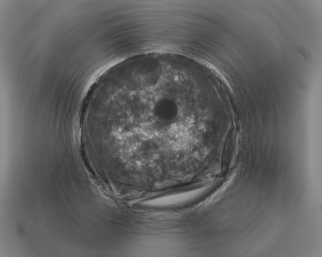 X0000114441117200911061658