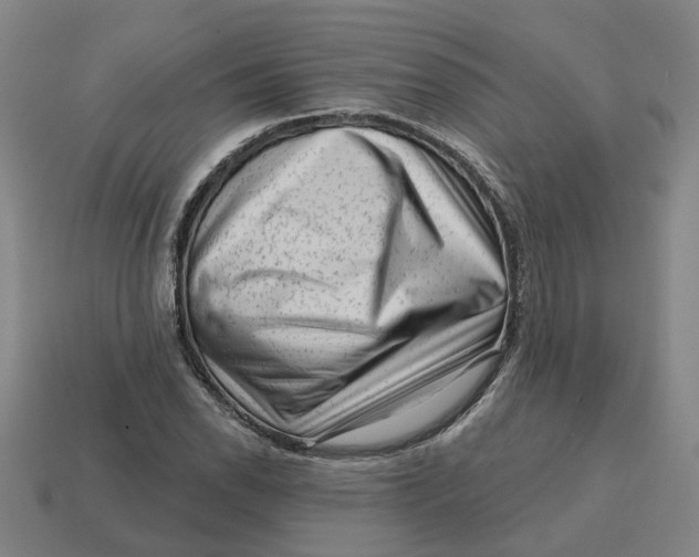 X0000114441118200911061658