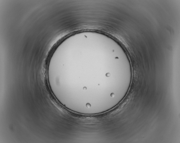 X0000114441119200911061658