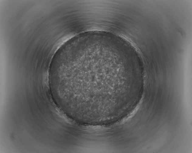 X0000114441121200911061658