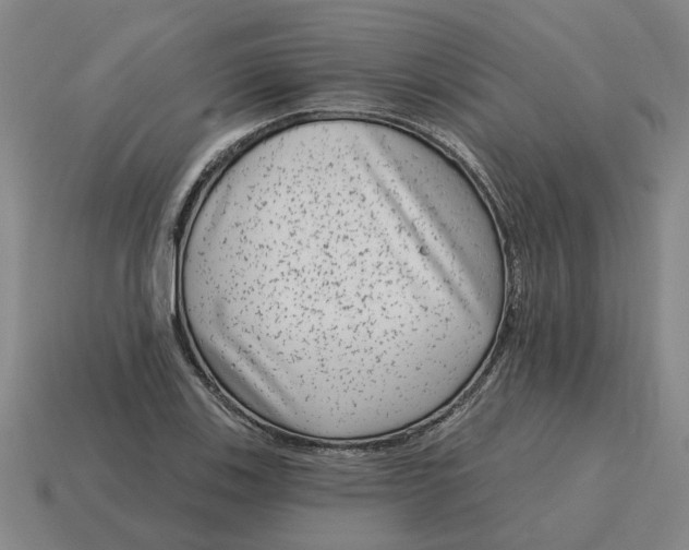 X0000114441123200911061658