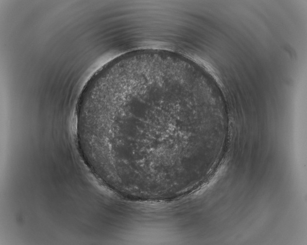 X0000114441125200911061658