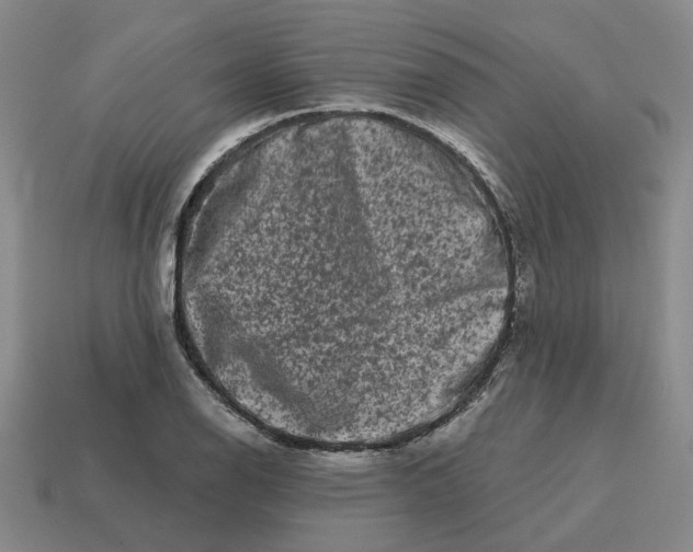 X0000114441126200911061658