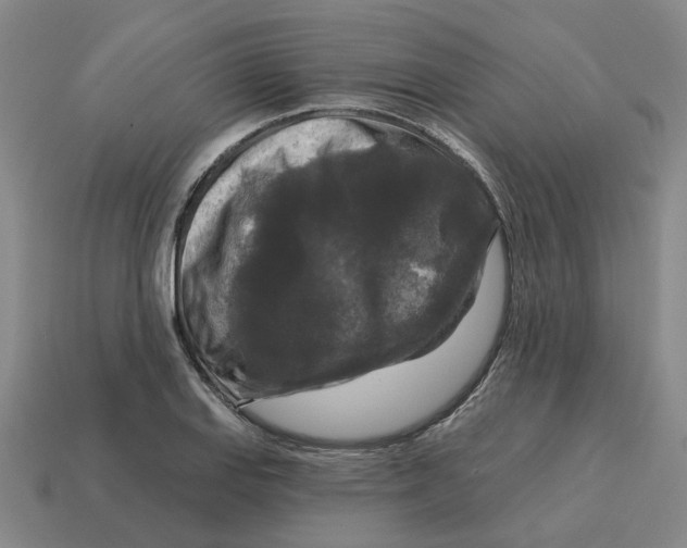 X0000114441127200911061658