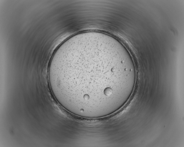 X0000114441129200911061658