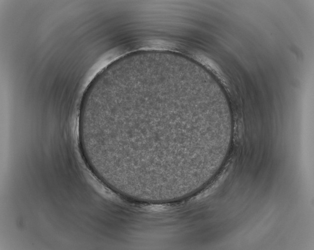 X0000114441130200911061658