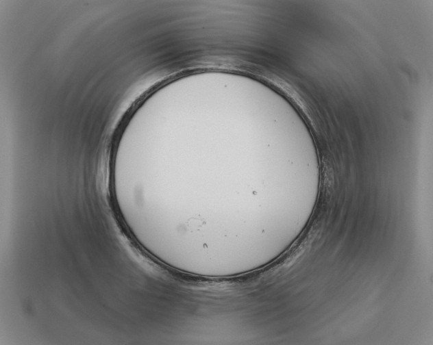 X0000114441131200911061658