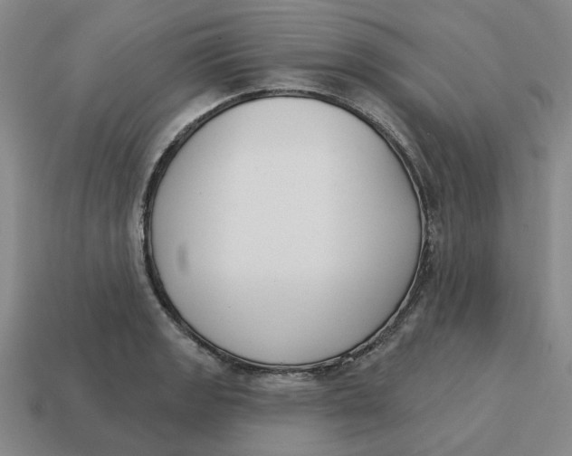 X0000114441133200911061658