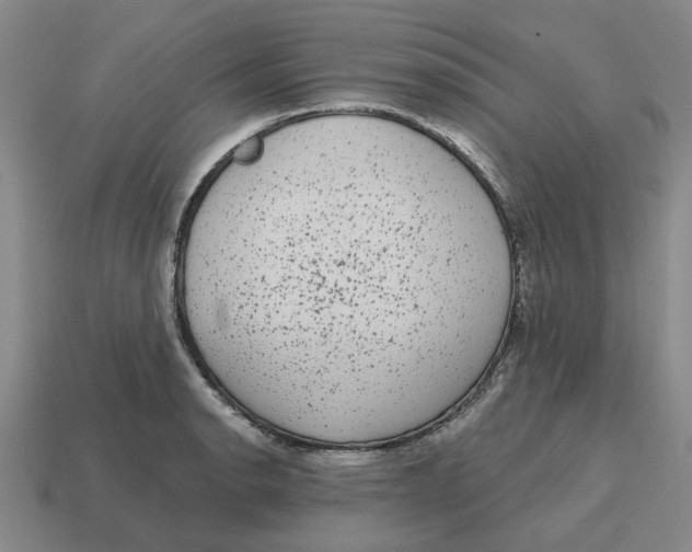 X0000114441134200911061658