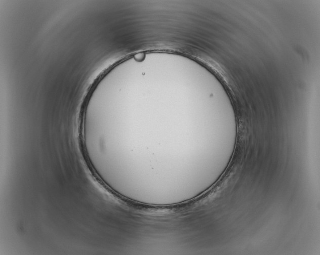 X0000114441135200911061658