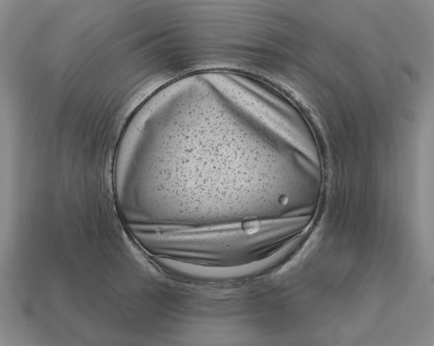 X0000114441137200911061658