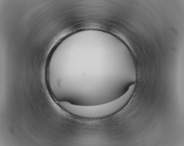 X0000114441139200911061658