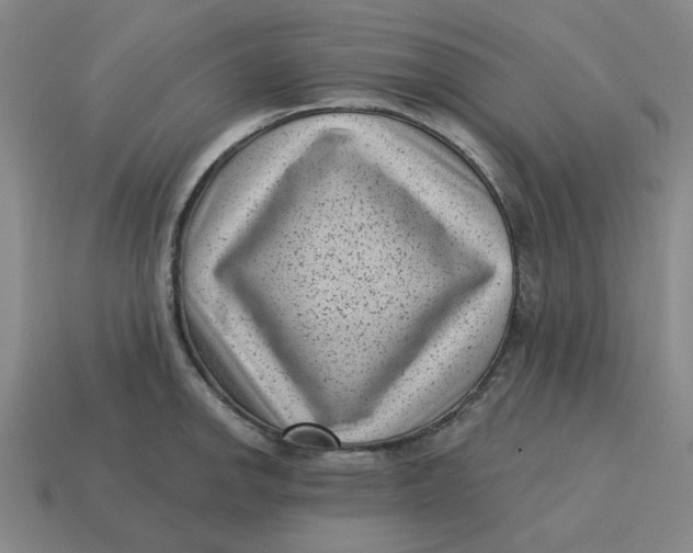 X0000114441142200911061658