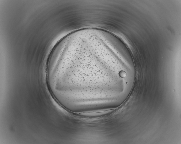 X0000114441143200911061658