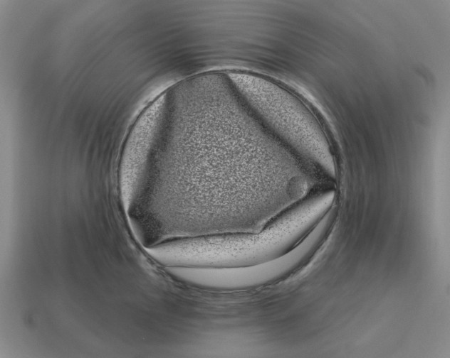 X0000114441145200911061658