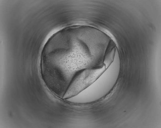 X0000114441146200911061658