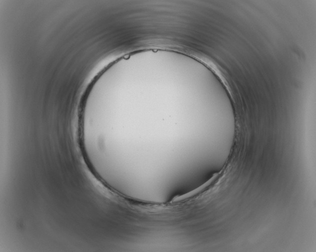 X0000114441147200911061658