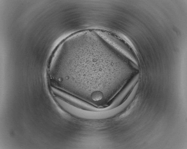 X0000114441149200911061658