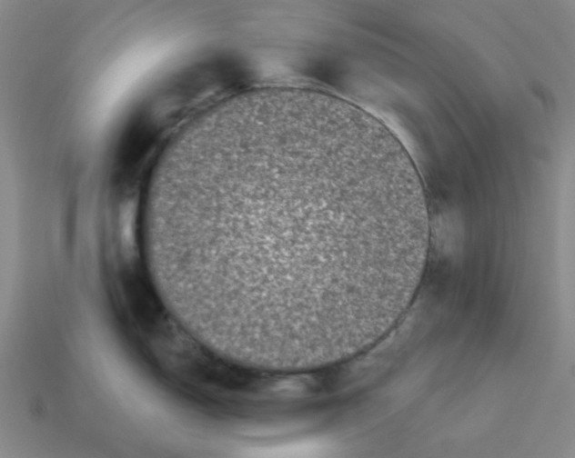 X0000114441150200911061658