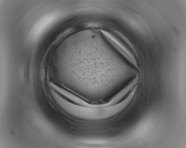 X0000114441151200911061658