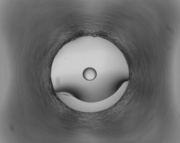 X0000114441153200911061658