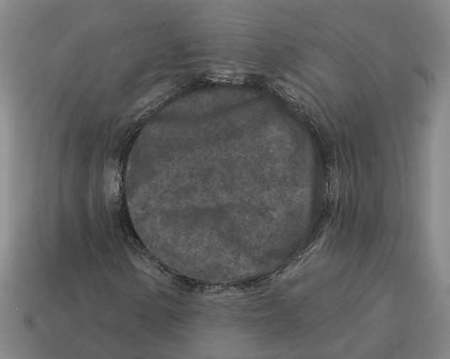 X0000114441154200911061657