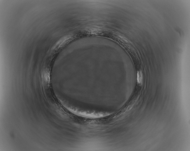 X0000114441155200911061657