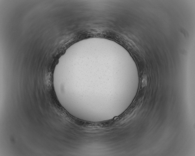 X0000114441156200911061657