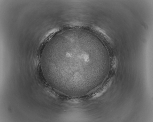 X0000114441157200911061657