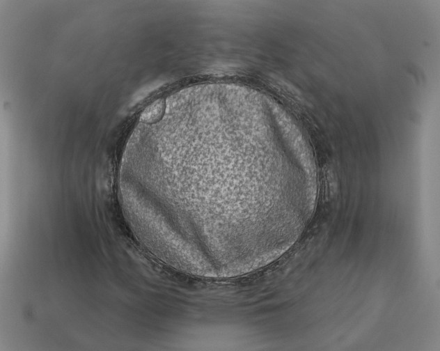 X0000114441158200911061657