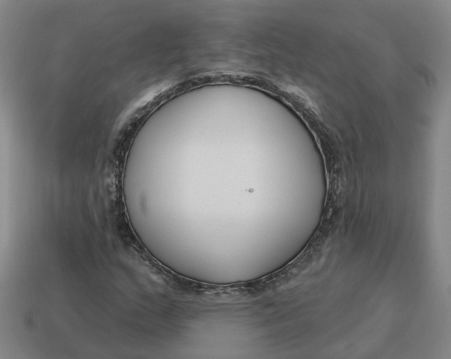 X0000114441159200911061657