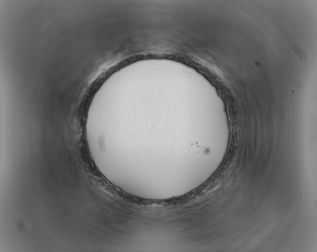 X0000114441160200911061657