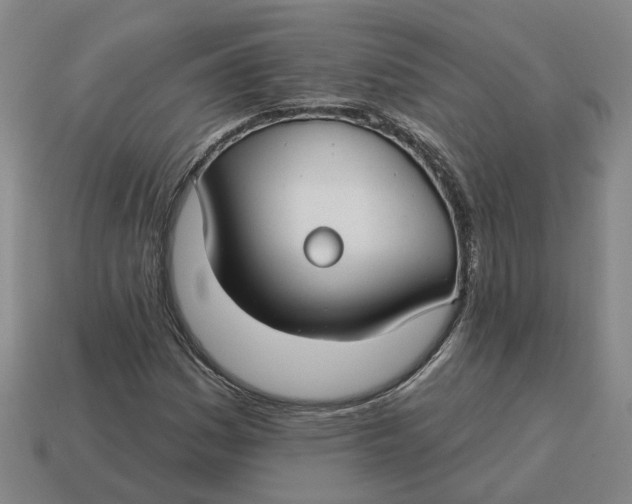 X0000114441161200911061657