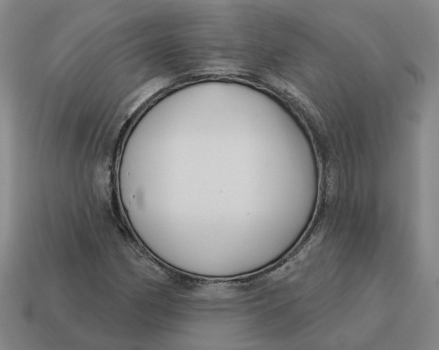 X0000114441162200911061657