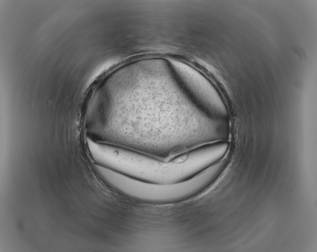 X0000114441163200911061657