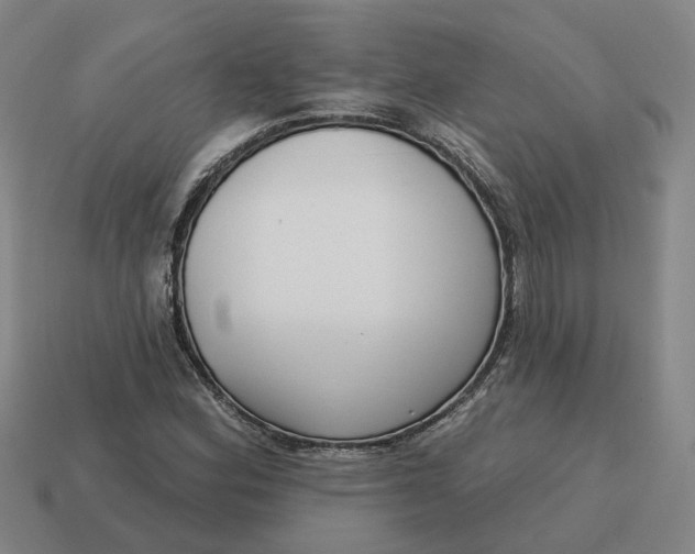 X0000114441164200911061657