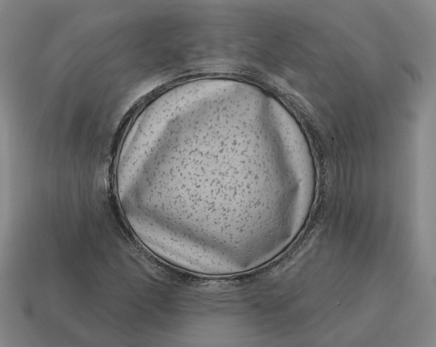 X0000114441166200911061657