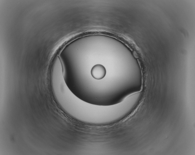 X0000114441167200911061657