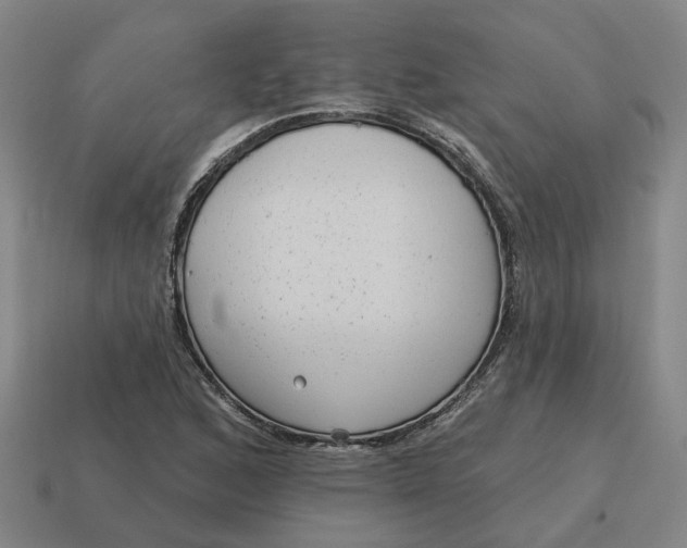 X0000114441168200911061657