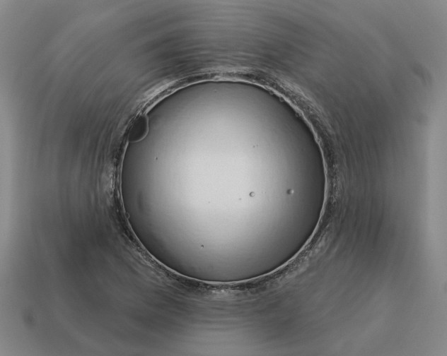 X0000114441169200911061657