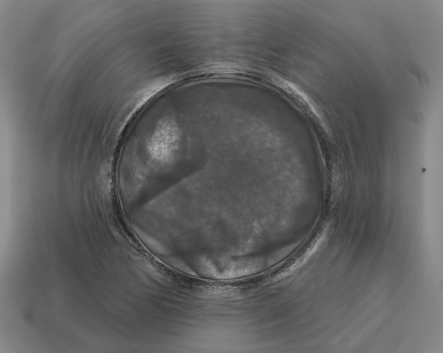 X0000114441170200911061657