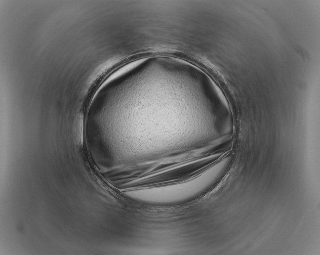 X0000114441171200911061657