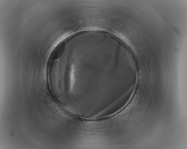 X0000114441173200911061657