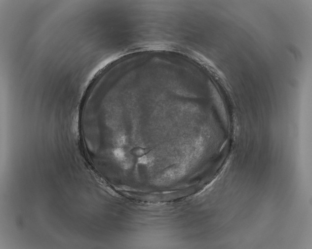 X0000114441174200911061657